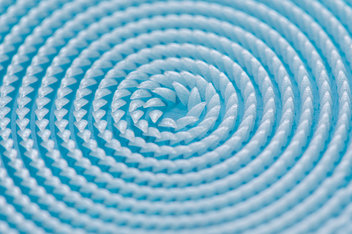 Araucaria leaf-inspired surface