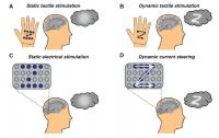 How Dynamic Stimulation Lets Participants to 'See' Shapes