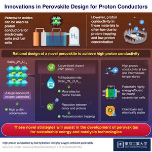 Innovations in Perovskite Design for Proton Conductors