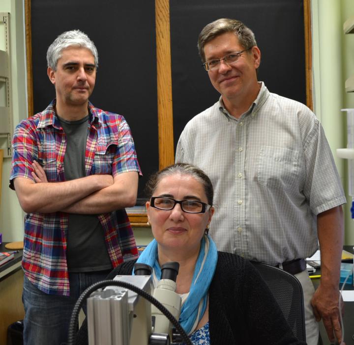 University of Missouri Early Concept Grant Recipients