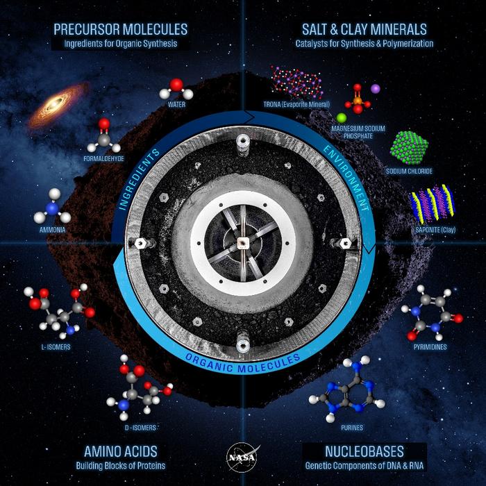 Poster depicting all the compounds discovered in the OSIRIS-REx sample