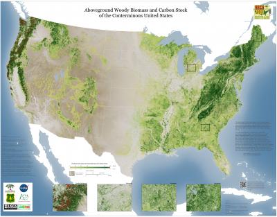 Aboveground Woody Biomass and Carbon Stock of the Conterminous United States