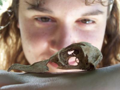 Anne Wiley, Smithsonian