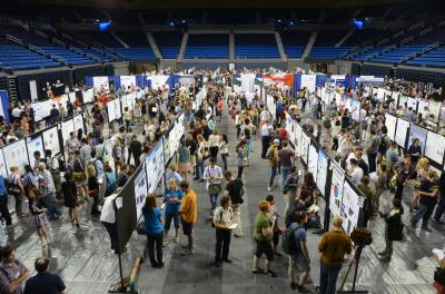Bird's-Eye View of the Poster Presentations at the 2013 Worm Meeting