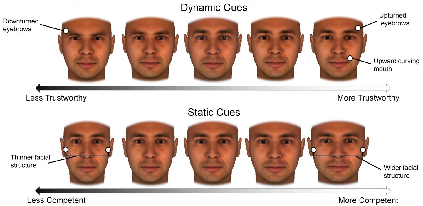 We Can Look More Trustworthy, But Not More Competent