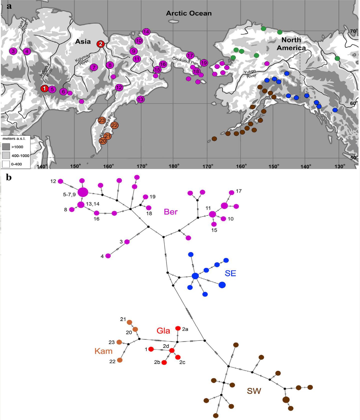 Map of Sampling Localities