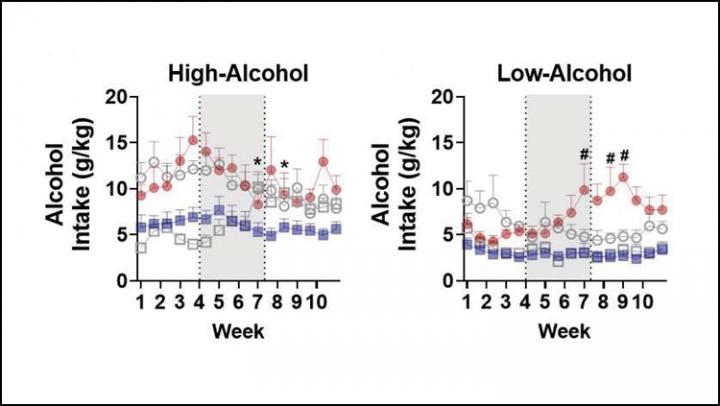 Ketamine Reduces Drinking in Male, but not Female, Rats