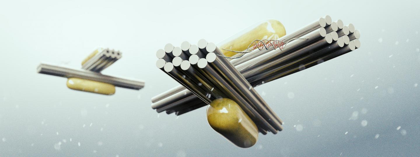 Selective control of reconfigu [IMAGE] | EurekAlert! Science News Releases