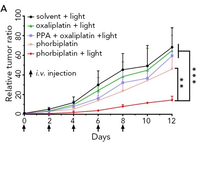 Significantly Improved Antitumor Activity