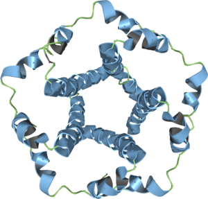SARS-CoV-2 envelople protein