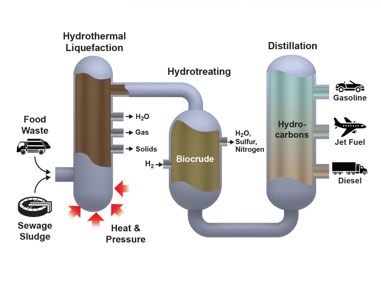 Biowaste to Biofuel Process