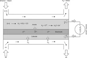 Fig.3