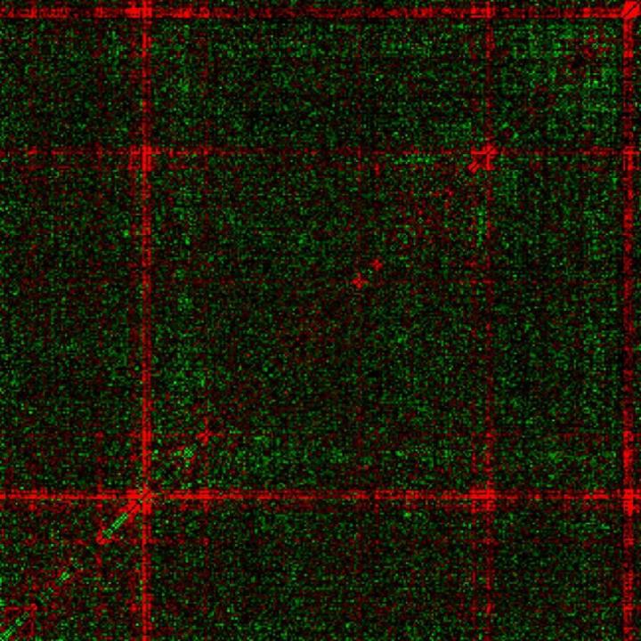 Tartan Pattern Charts Survival Impact of Genetic Mutations in Yeast Cells
