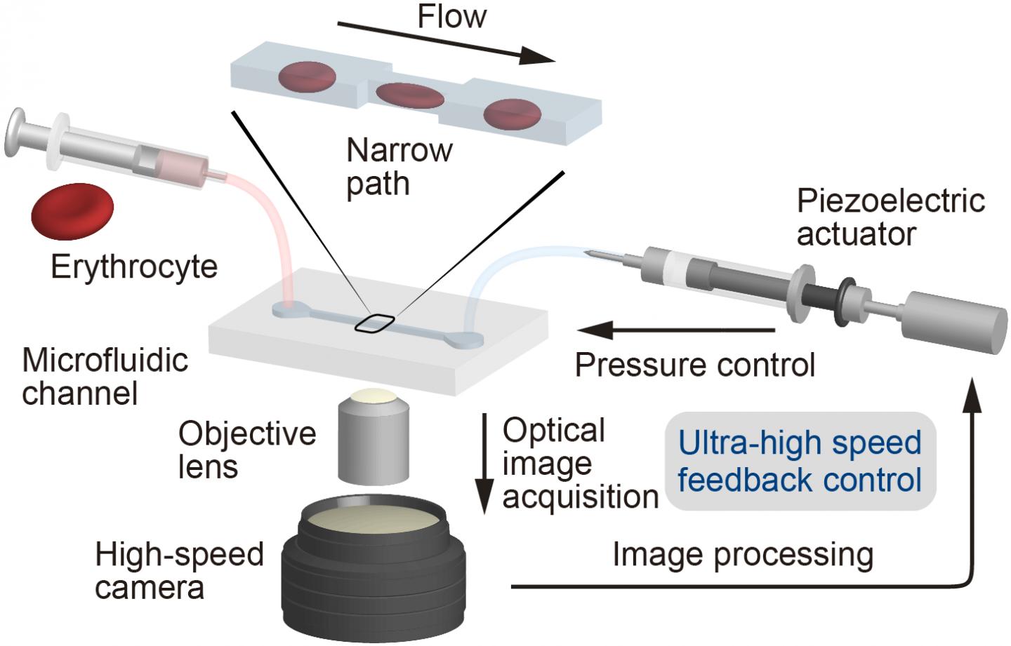 Figure 1: Microchannel Connected to a Robotic Pump