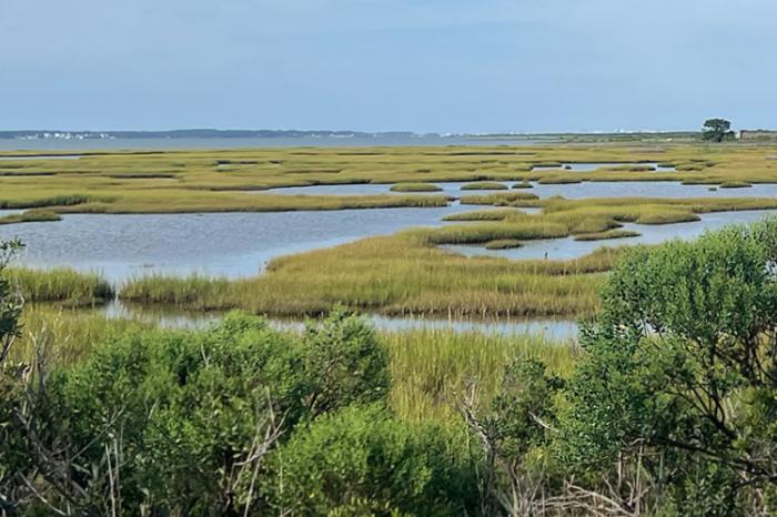 Searching for key data on coastal oceans