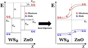 Selective Enriching of Trionic Emission in a WS2-ZnO Hybrid through Type-II Band Alignment