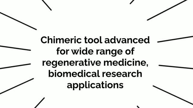 Chimeric tool advanced for wide range of regenerative medicine, biomedical research applications