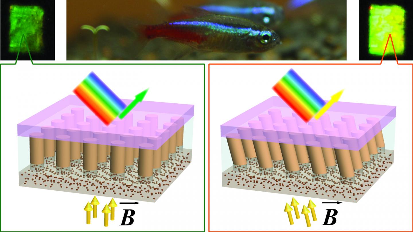 Nanocolumns Allow Material to Shift Color in Response to Magnetic Field