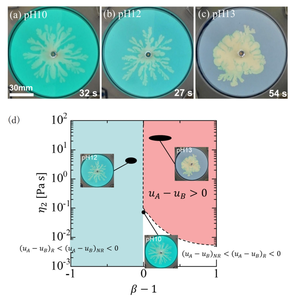 Viscous fingering pattern for the gel elasticity