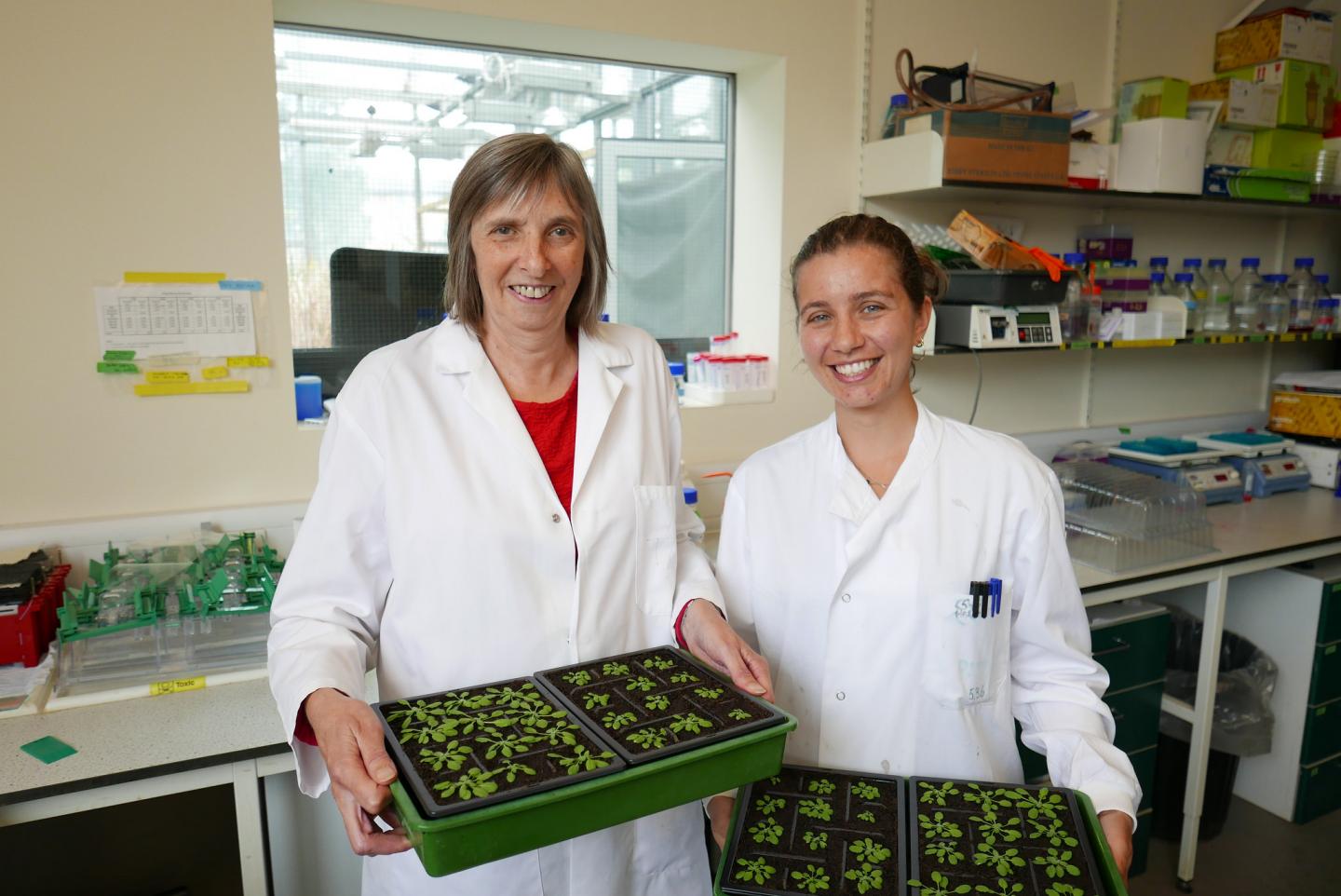 Christine Raines and Patricia Lopez, Carl R. Woese Institute for Genomic Biology