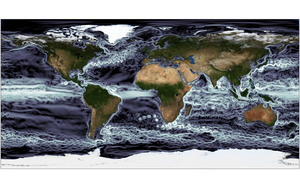 Global map of eddies