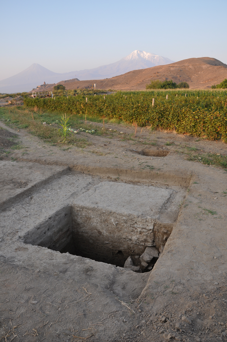 Excavation area