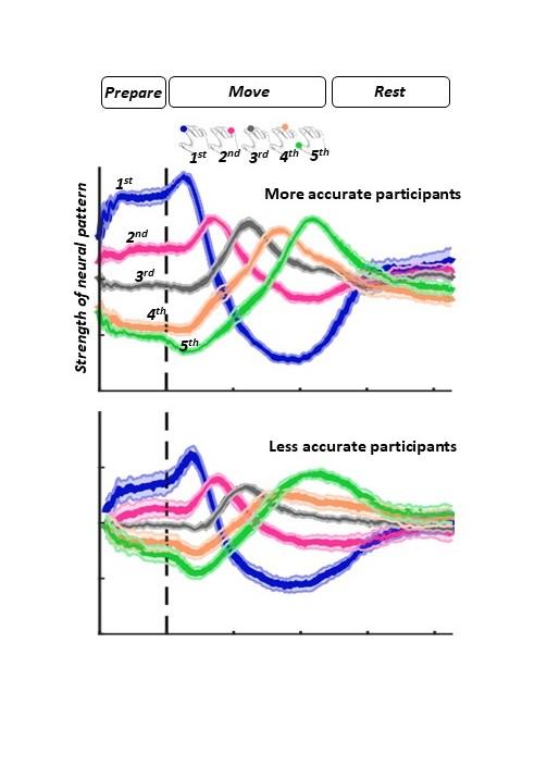 Neural Patterns for Preparation, Movement and Rest