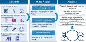 Foundation models (FMs) and large language models (LLMs) for medical AI