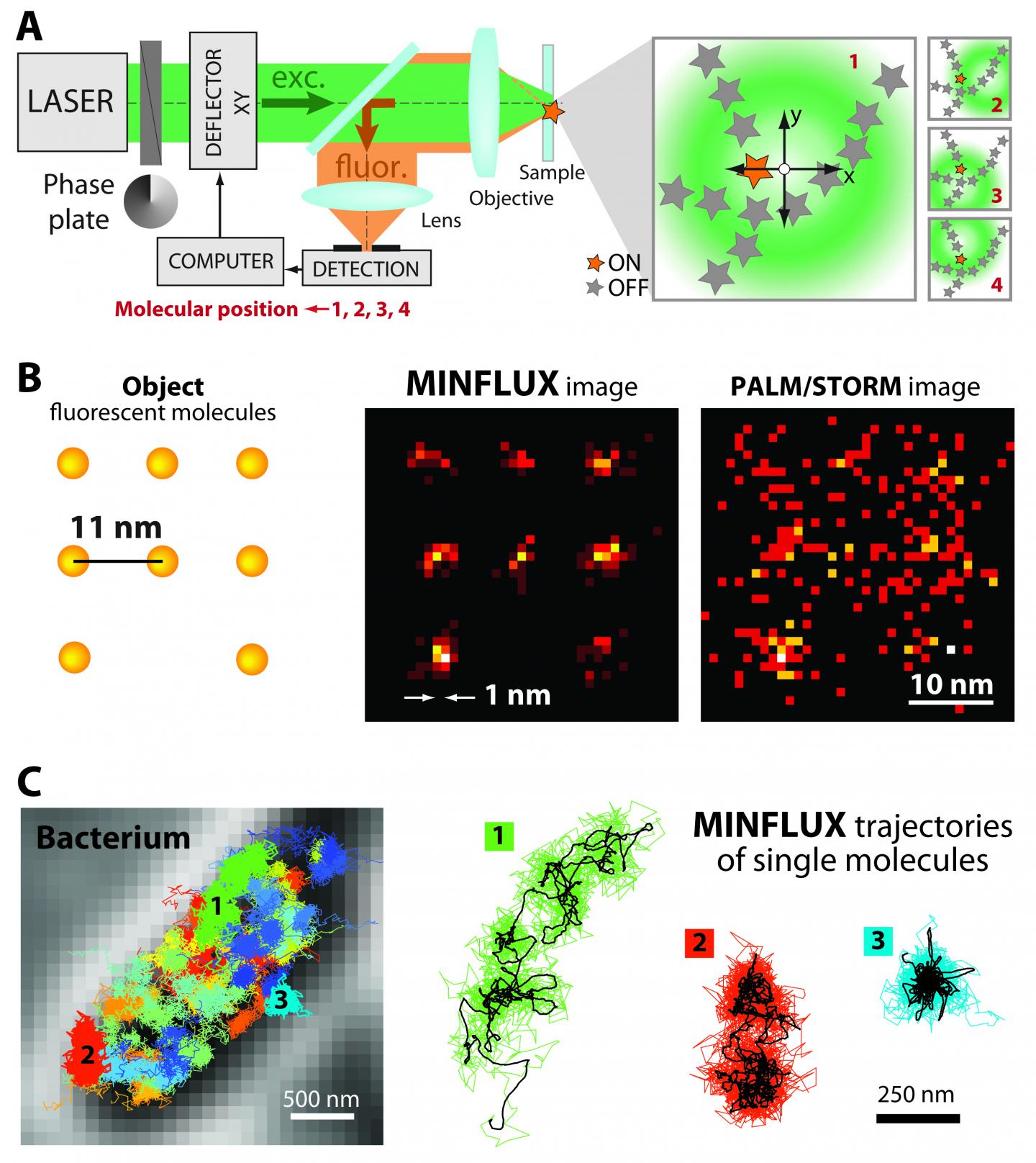 Pinpointing Molecules with Nanoscale Precisio | EurekAlert!