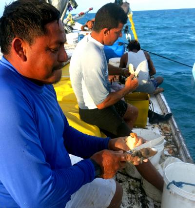 Fishers With Conch