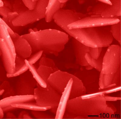 Evolving Nanoparticles