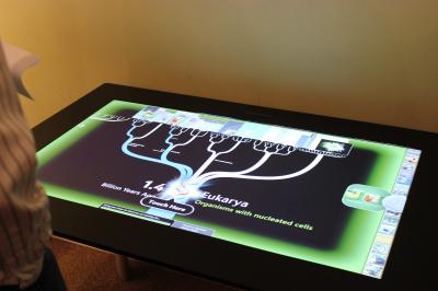 Touch-table Evolution Exhibit