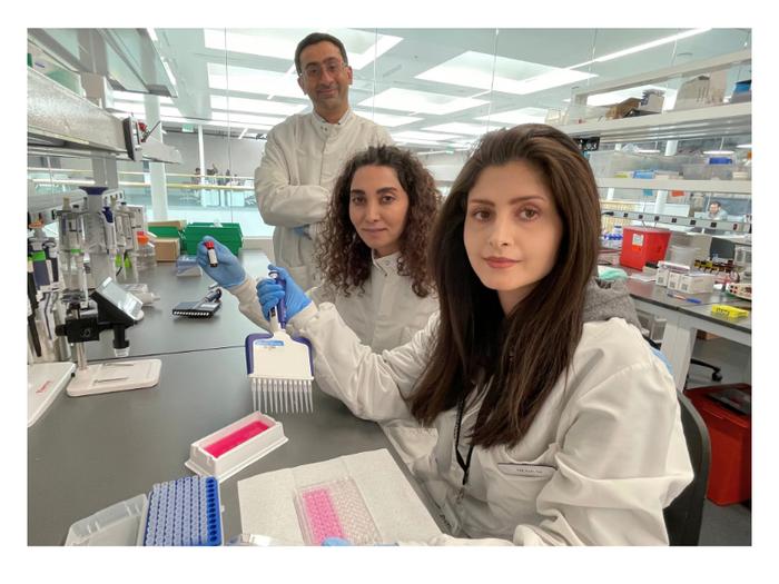 Apigenin loaded nanoparticles for obesity