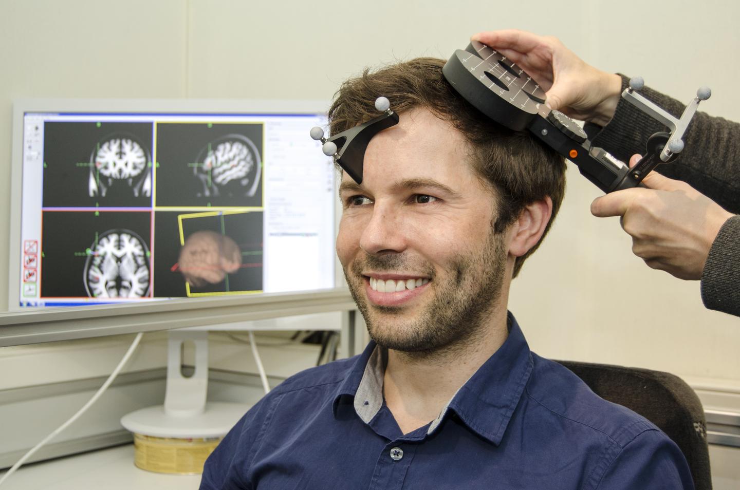 Research in Language Networks with the Help of Transcranial Magnetic Stimulation (TMS)