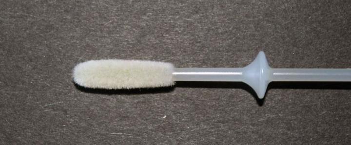 Flocked Swab