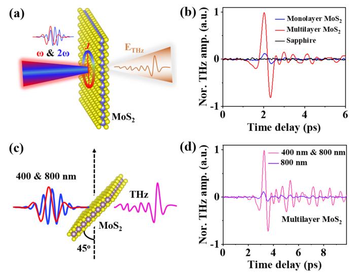 THz wave generation from MoS2 through quantum interference.