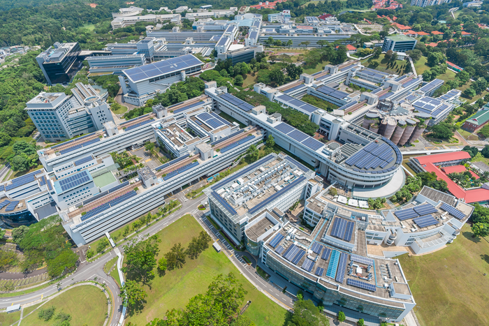 Solar PV panels on NTU Singapore campus