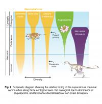 Expansion of Mammalian Communities