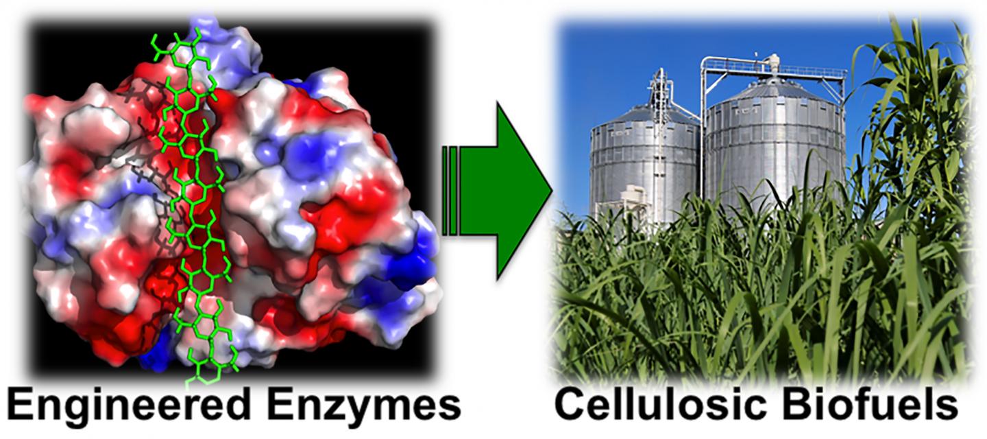 Engineering Enzymes to Produce Biofuels