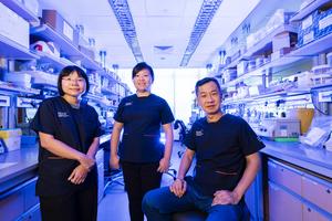 CAR-T cell research team members