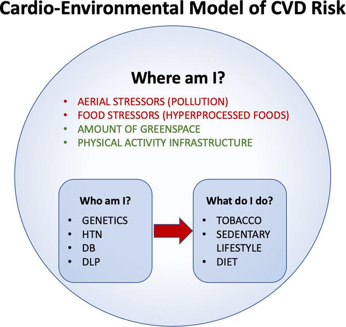 Cardio-environmental model of cardiovascular disease risk