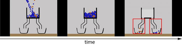 Even Six-Month-Old Babies Have a Sense of Probability