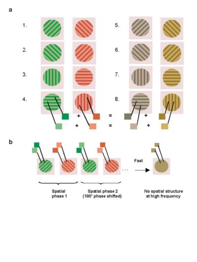 The Time it Takes to Reassemble the World