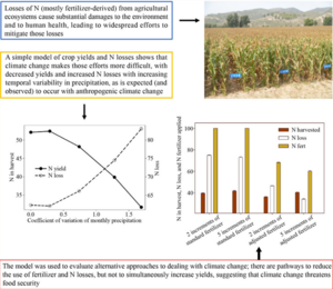 Will climate-change-driven temporal variation in precipitation affect crop yields and reactive nitrogen losses?
