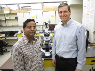 Prashant Sarswat and Michael Free, University of Utah