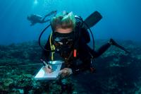 Reef Life Survey (RLS) Diver
