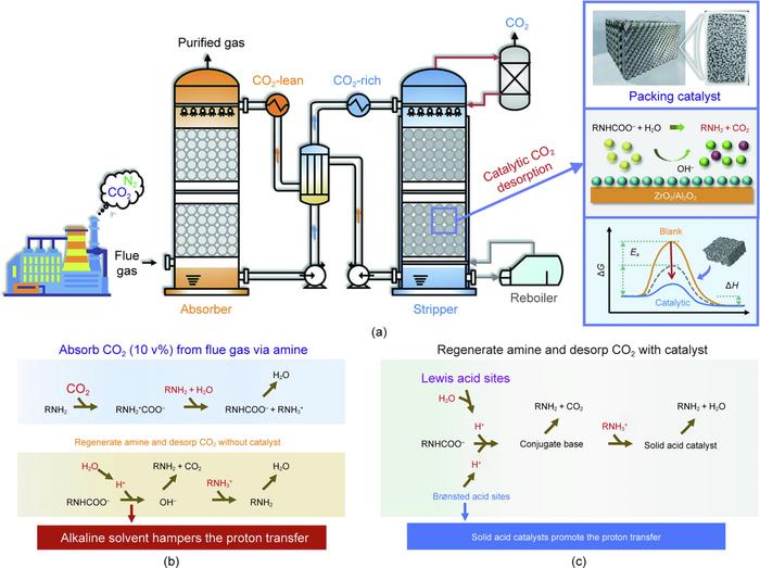 Schematic illustration of the proposed catalytic CO2.