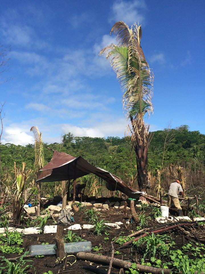 Assessing Classic Maya multi-scalar household inequality in southern Belize