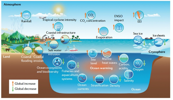 Ocean warming