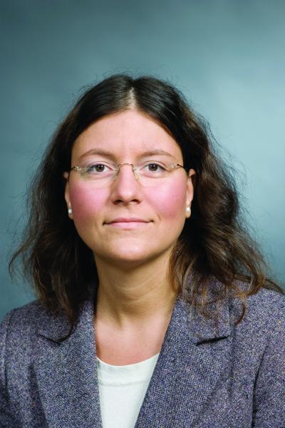 Diana Lados, Worcester Polytechnic Institute